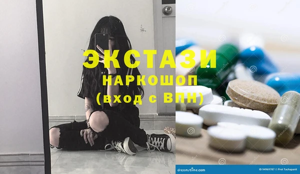 стаф Осинники