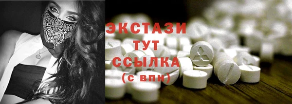 стаф Осинники