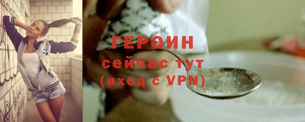 стаф Осинники