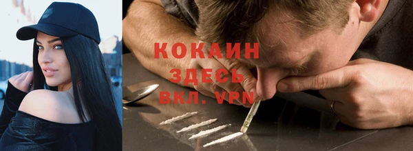 шишки Остров