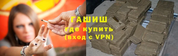 стаф Осинники