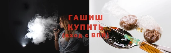 стаф Осинники