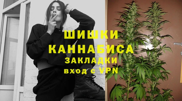 стаф Осинники