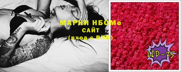 стаф Осинники