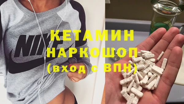 стаф Осинники