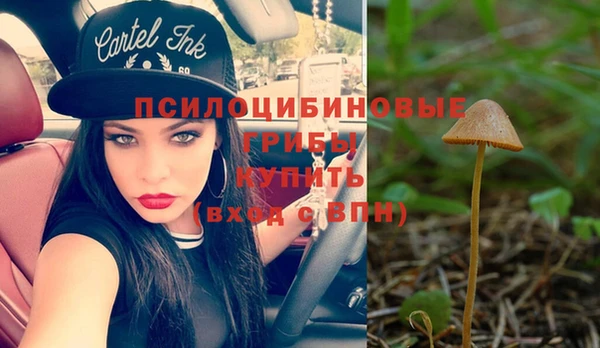 шишки Остров
