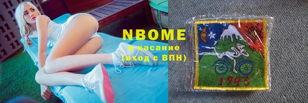 стаф Осинники