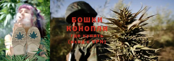 стаф Осинники