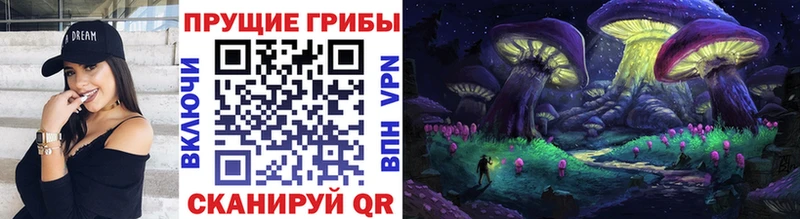 Псилоцибиновые грибы мицелий  Алагир 