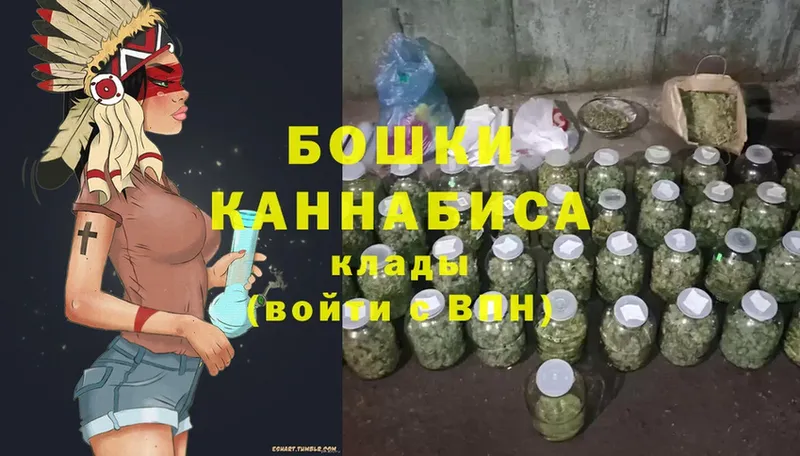 Бошки марихуана Amnesia  Алагир 